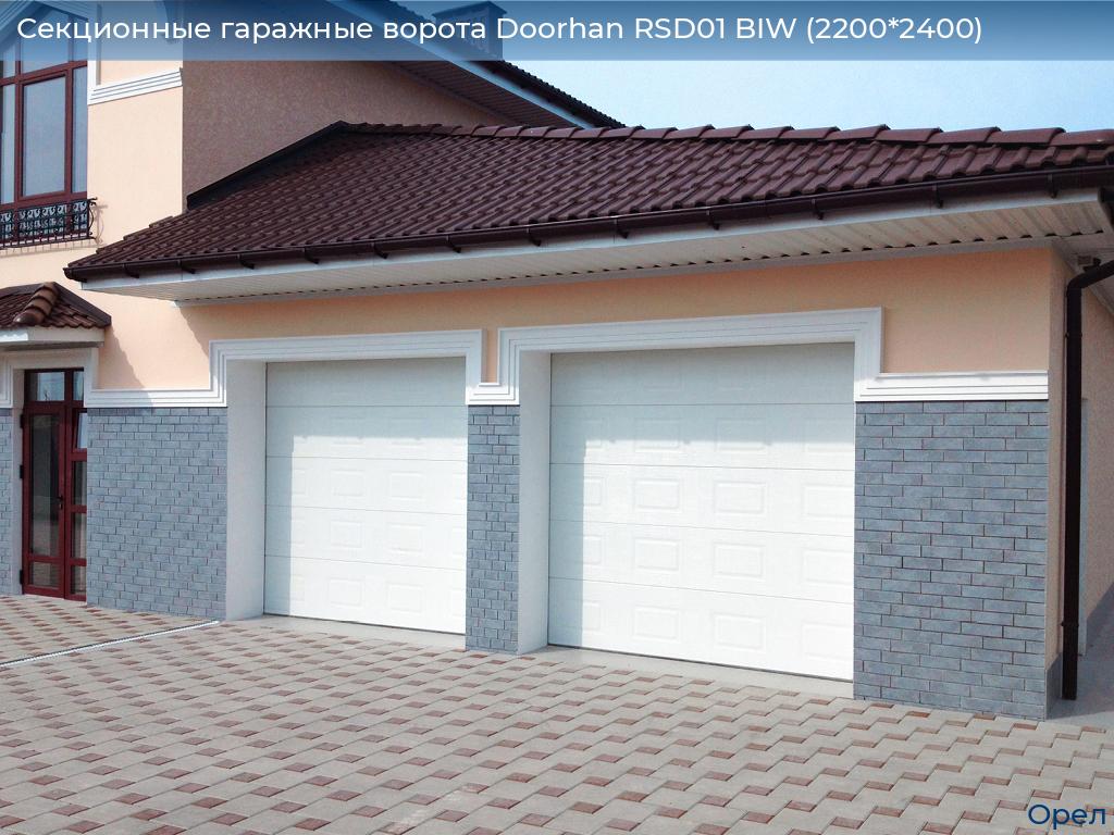 Секционные гаражные ворота Doorhan RSD01 BIW (2200*2400), orel.doorhan.ru