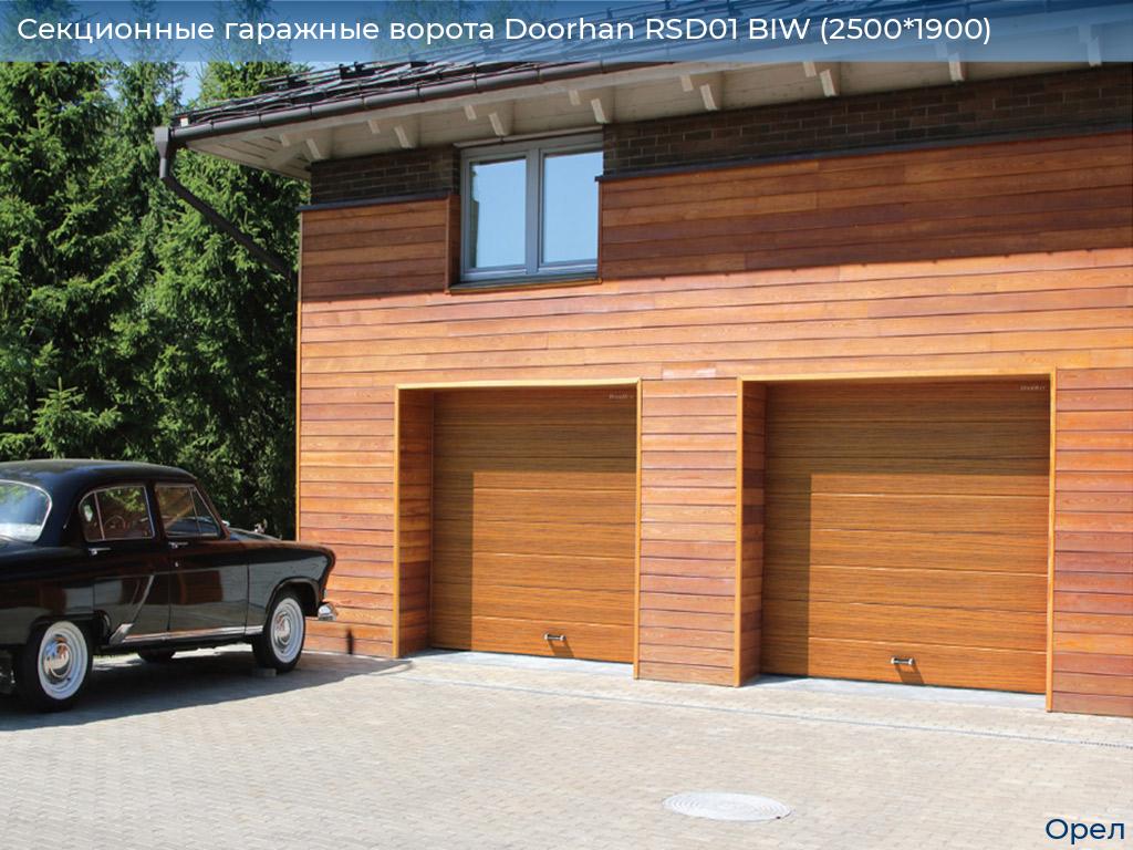 Секционные гаражные ворота Doorhan RSD01 BIW (2500*1900), orel.doorhan.ru