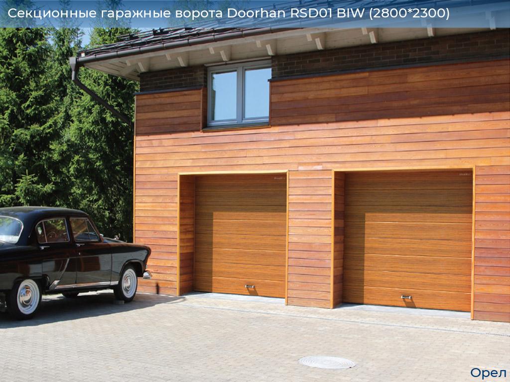 Секционные гаражные ворота Doorhan RSD01 BIW (2800*2300), orel.doorhan.ru