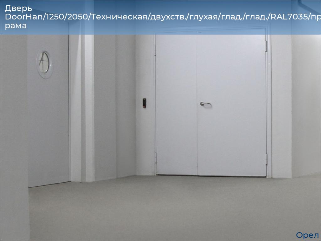 Дверь DoorHan/1250/2050/Техническая/двухств./глухая/глад./глад./RAL7035/прав./угл. рама, orel.doorhan.ru