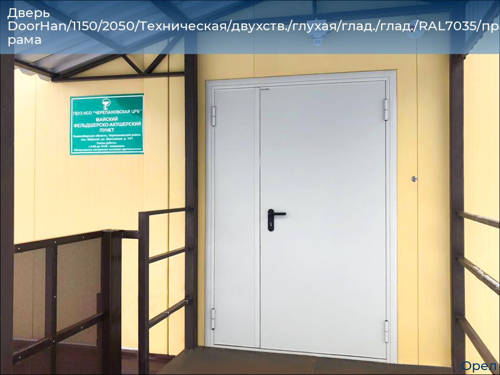 Дверь DoorHan/1150/2050/Техническая/двухств./глухая/глад./глад./RAL7035/прав./угл. рама, orel.doorhan.ru
