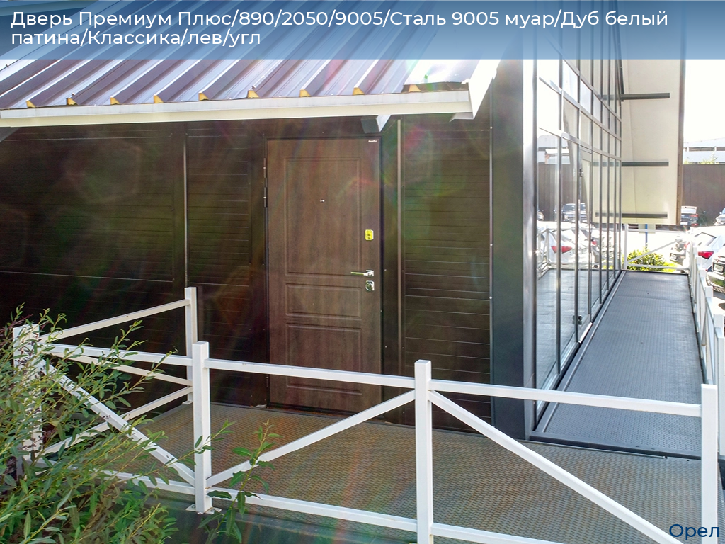 Дверь Премиум Плюс/890/2050/9005/Сталь 9005 муар/Дуб белый патина/Классика/лев/угл, orel.doorhan.ru