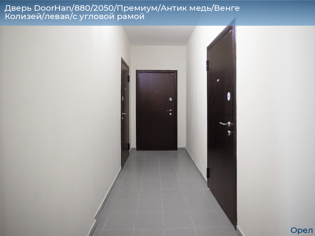 Дверь DoorHan/880/2050/Премиум/Антик медь/Венге Колизей/левая/с угловой рамой, orel.doorhan.ru