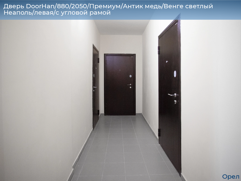 Дверь DoorHan/880/2050/Премиум/Антик медь/Венге светлый Неаполь/левая/с угловой рамой, orel.doorhan.ru