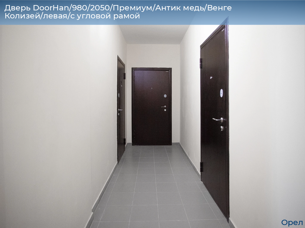 Дверь DoorHan/980/2050/Премиум/Антик медь/Венге Колизей/левая/с угловой рамой, orel.doorhan.ru
