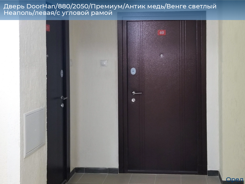 Дверь DoorHan/880/2050/Премиум/Антик медь/Венге светлый Неаполь/левая/с угловой рамой, orel.doorhan.ru